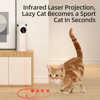 LED Laser Indoor Cat Toy