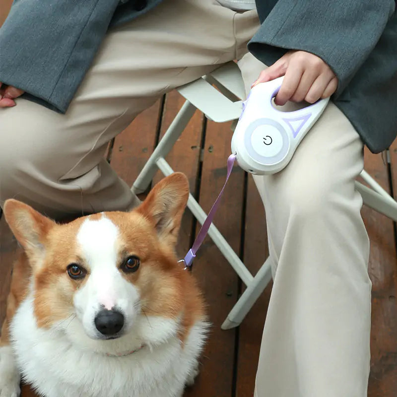 GlowPaws LED Dog Leash